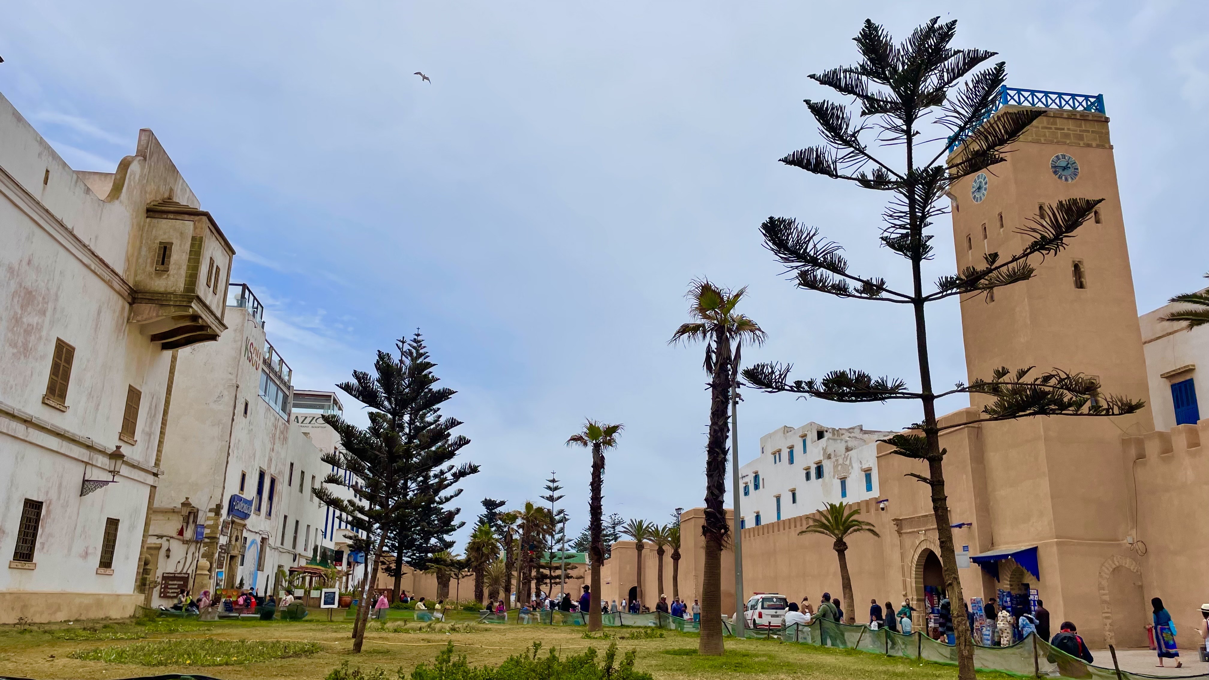 Les meilleures activités et attractions à Essaouira pour les visiteurs