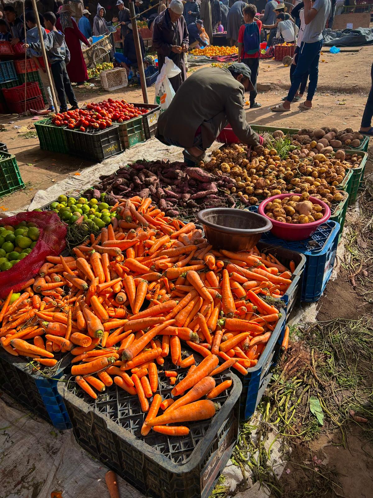 The treasures of Essaouiras organic farms: authentic flavors in tune with the seasons