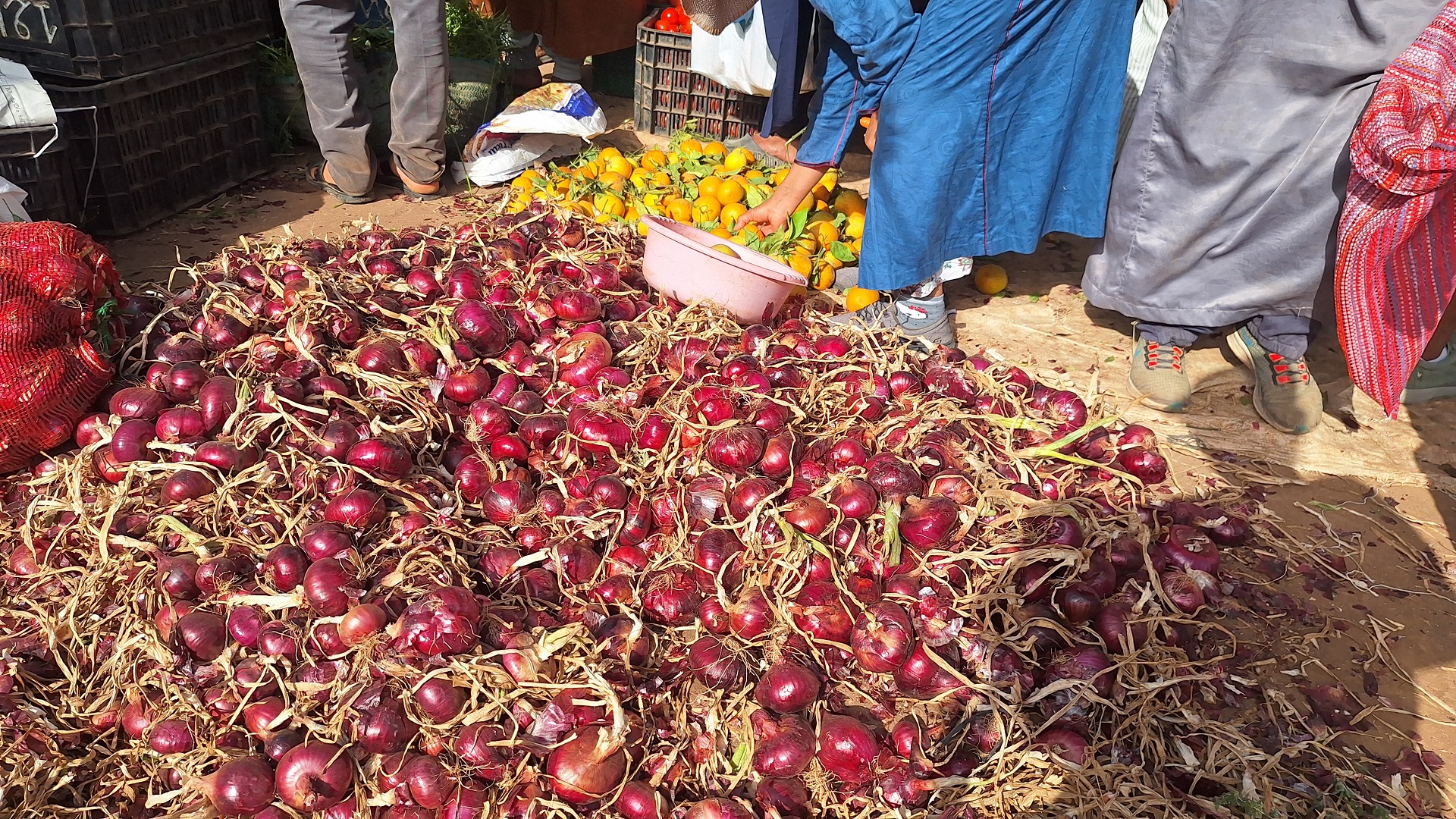 Fresh ingredients from the organic farms of Essaouira